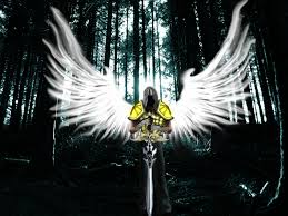 Image result for Guardian Angels